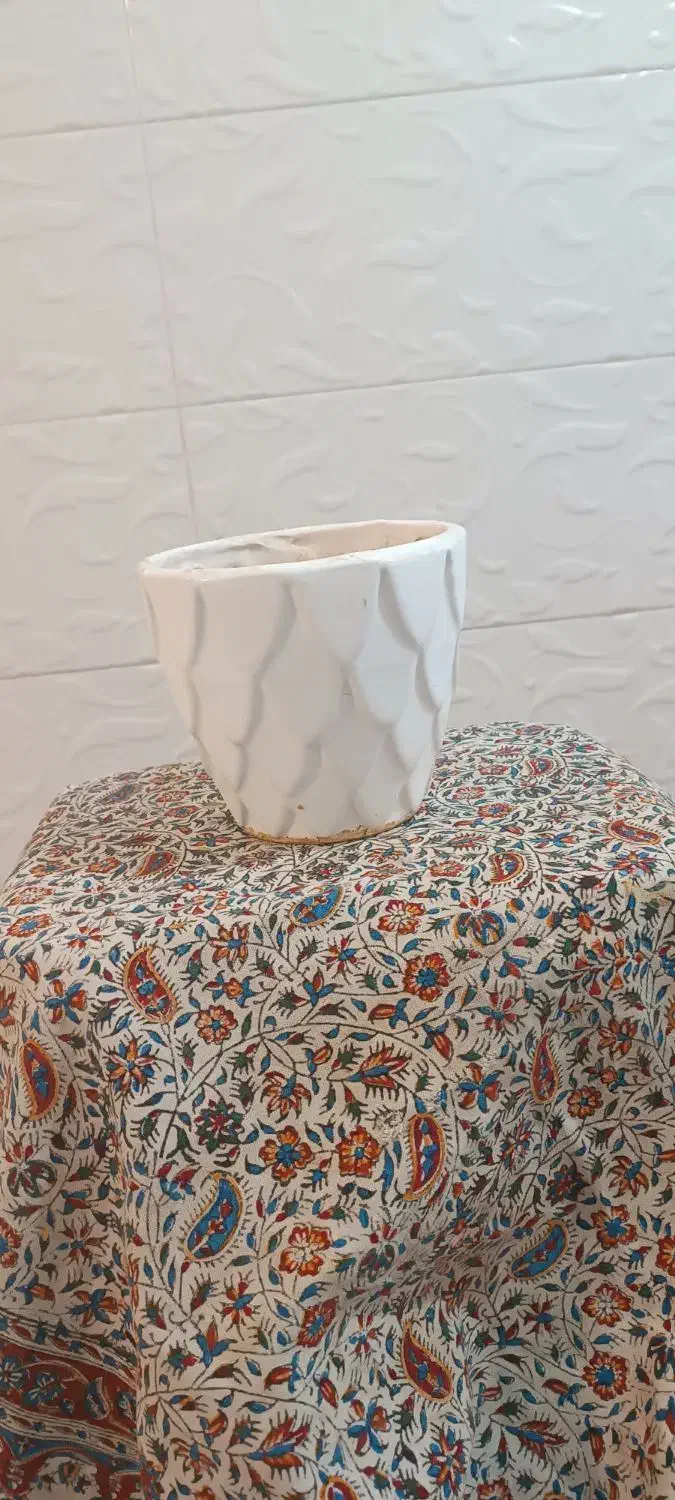 گلدان سرامیکی و پلاستیکی|گل و گیاه طبیعی|قم, باجک سه|دیوار