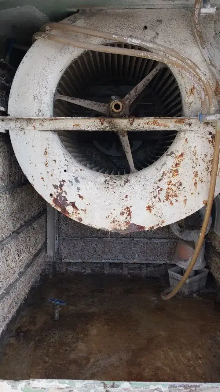 کولر ۵۰۰۰|کولر آبی|تهران, سبلان (لشگر)|دیوار