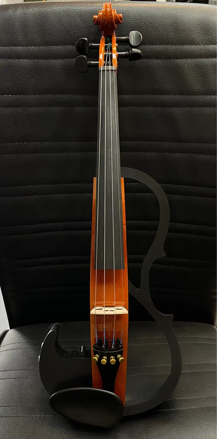 ویولن الکتریک تکنواز|ویولن|فردیس, فردیس|دیوار