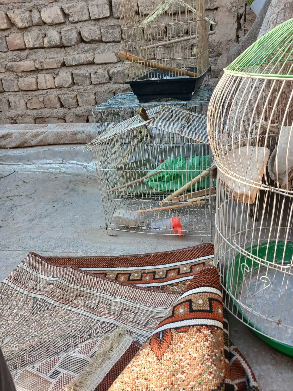 ۴عدد قفس سالم همراه وسایل|لوازم جانبی حیوانات|قم, شهرک مهدیه (مدرس)|دیوار