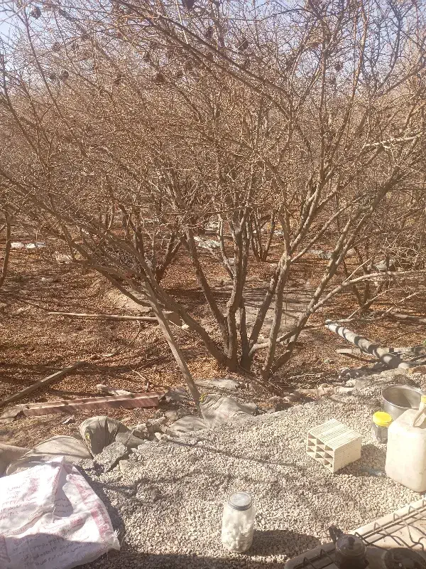 کارگری|خدمات نظافت|اردکان, |دیوار