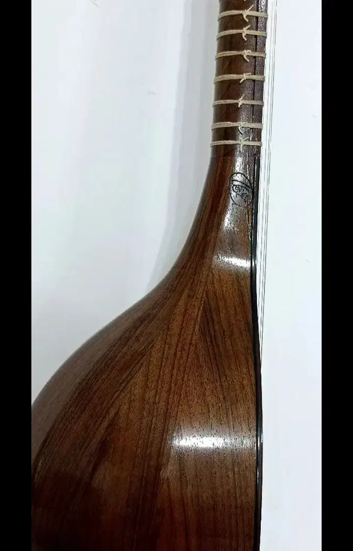 سه تار حرفه ای و کارگاهی دو مهر استاد شاهرخی|سازهای سنتی|کرج, دهقان ویلا|دیوار