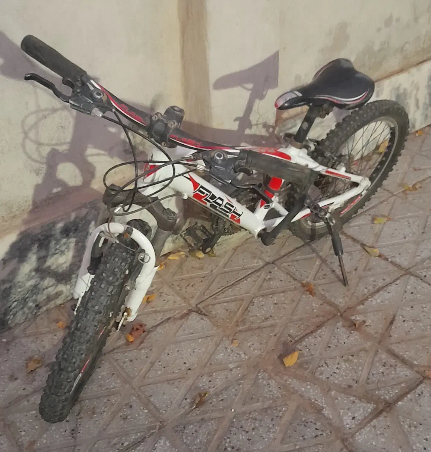 دوچرخه ۲۰حرفه ای برند فلش|دوچرخه، اسکیت، اسکوتر|تربت‌حیدریه, بوستان باغ ملی|دیوار