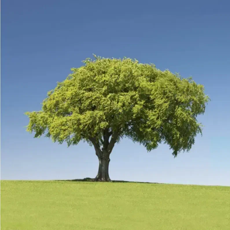 کار|استخدام صنعتی، فنی، مهندسی|یاسوج, |دیوار