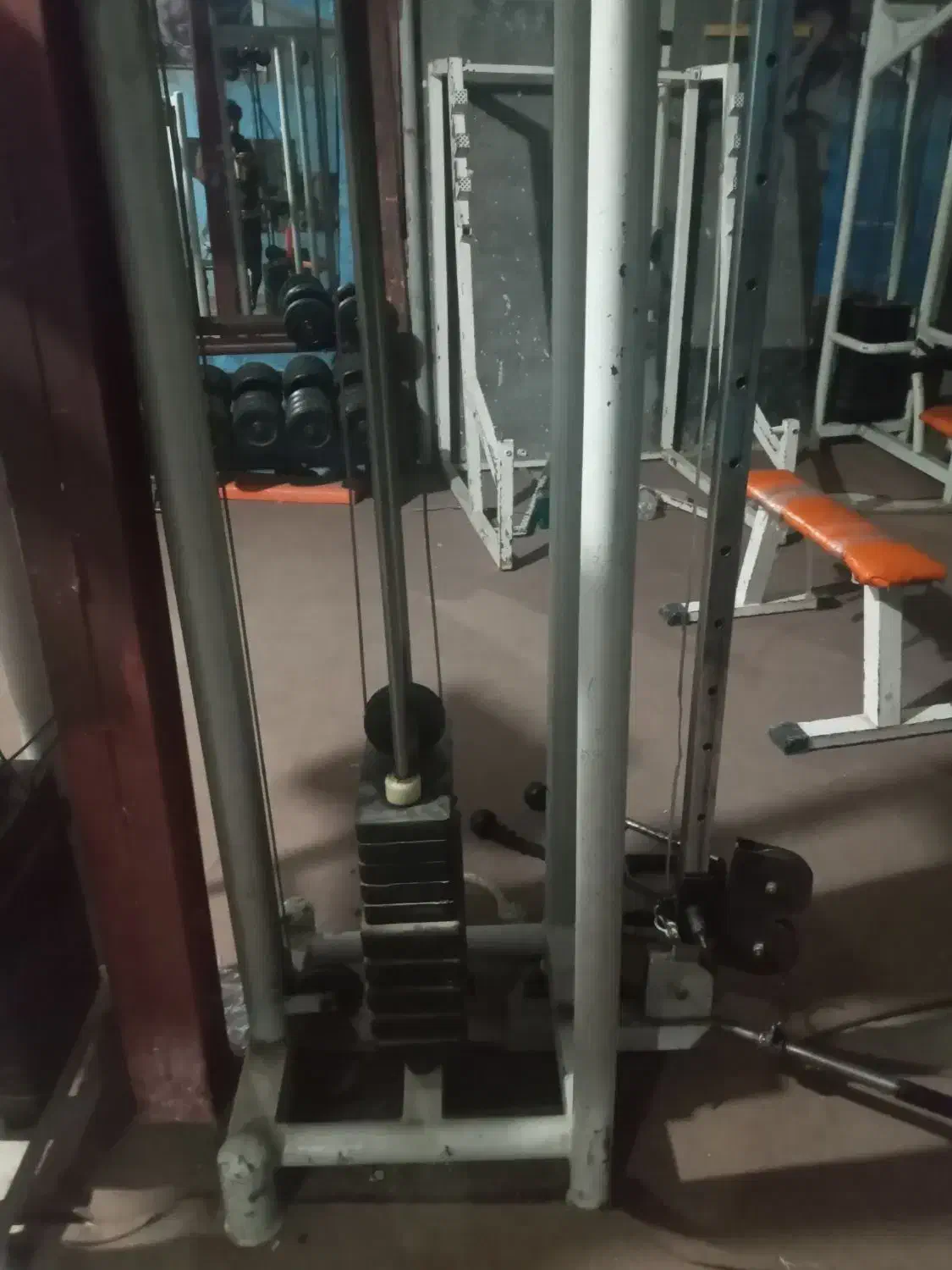 باشگاه بدنسازی ورزشی|تجهیزات ورزشی|سراجو, |دیوار