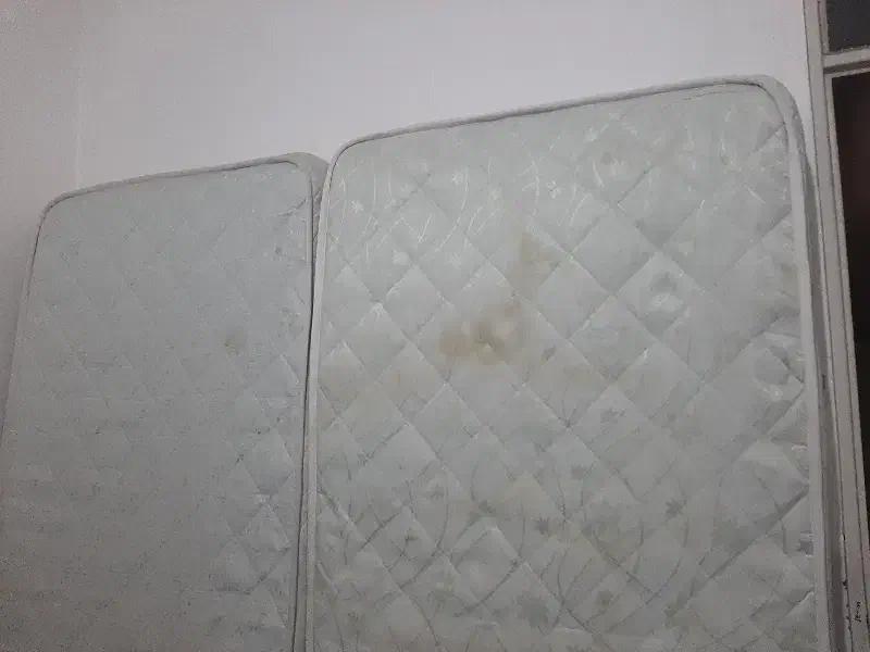 تشک تخت|تشک تختخواب|یزد, |دیوار