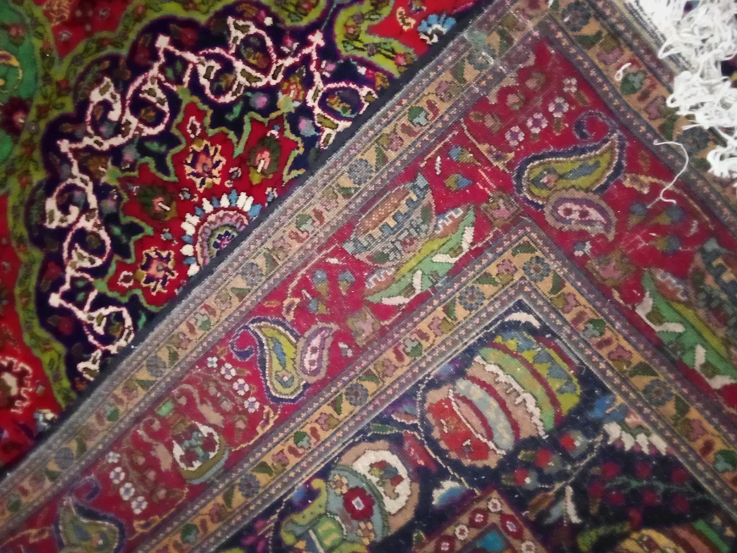 فرش طبیعی|فرش|ارومیه, |دیوار