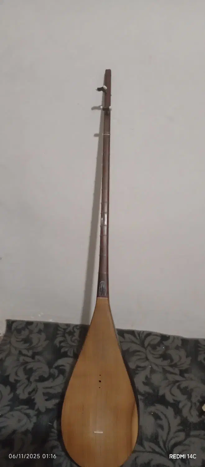 دوتار کرمانج|سازهای سنتی|نیشابور, گنبد سبز|دیوار