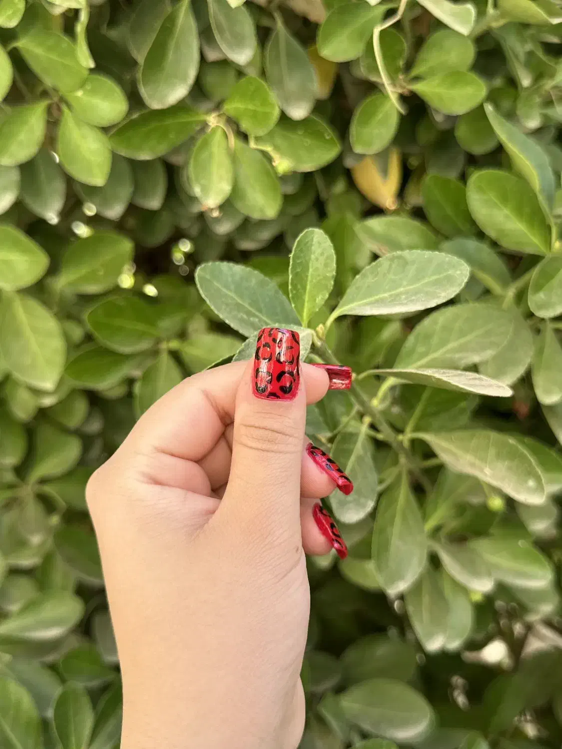 کاشت ناخن با بهترین متریال|خدمات آرایشگری و زیبایی|تربتحیدریه, کاشانی|دیوار