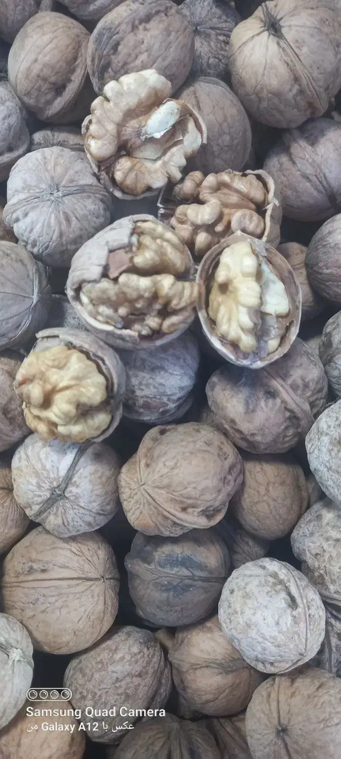 فروش گردو در نمایشگاه|خوردنی و آشامیدنی|بادرود, |دیوار