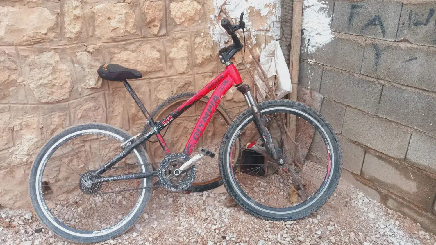 دوچرخهسواری ۲۴|دوچرخه، اسکیت، اسکوتر|رودشت (چهارمحال و بختیاری), |دیوار