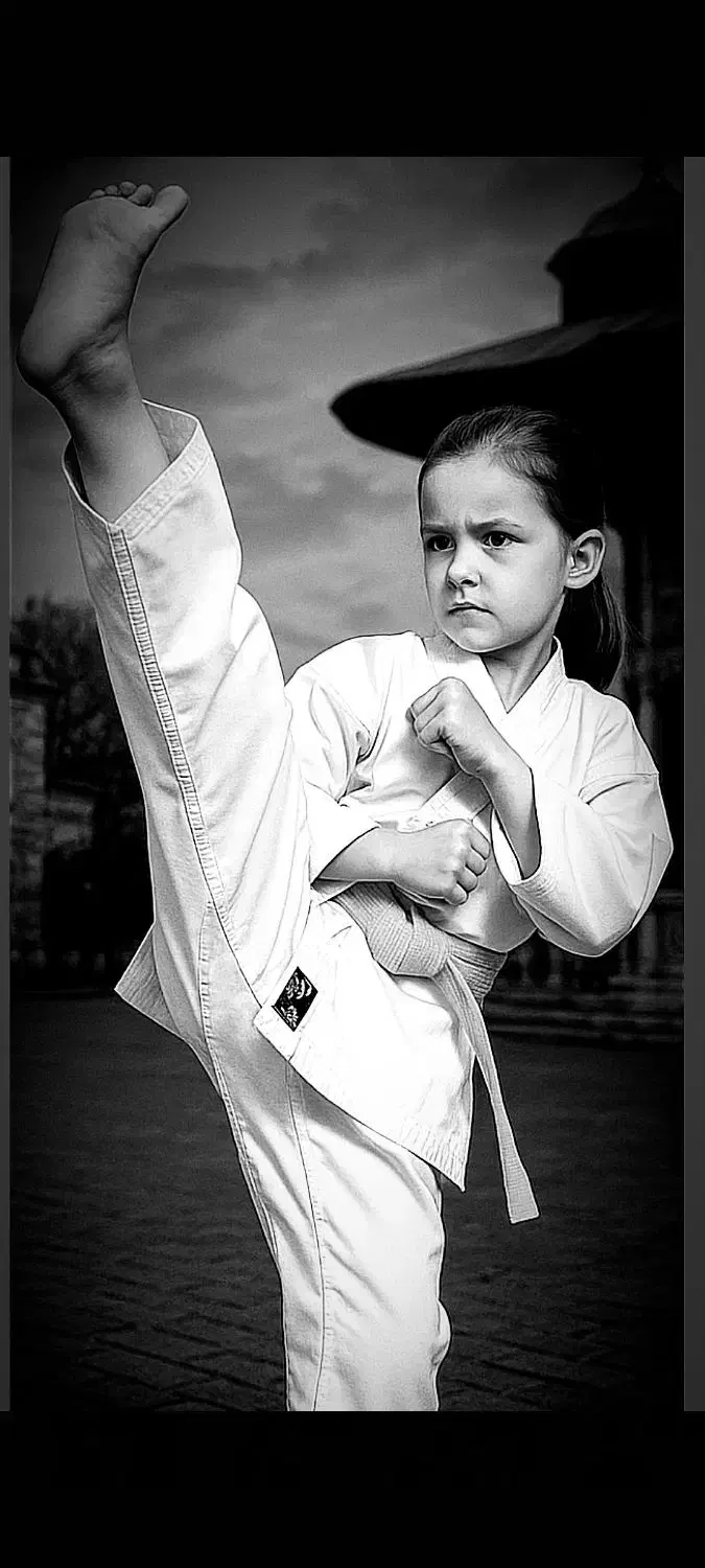 آموزش حرفه ای کاراته|خدمات آموزشی|تبریز, |دیوار