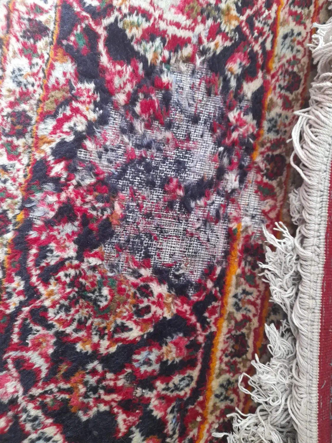 فروش فرش طرح مشهد دستبافت|فرش|ساری, |دیوار