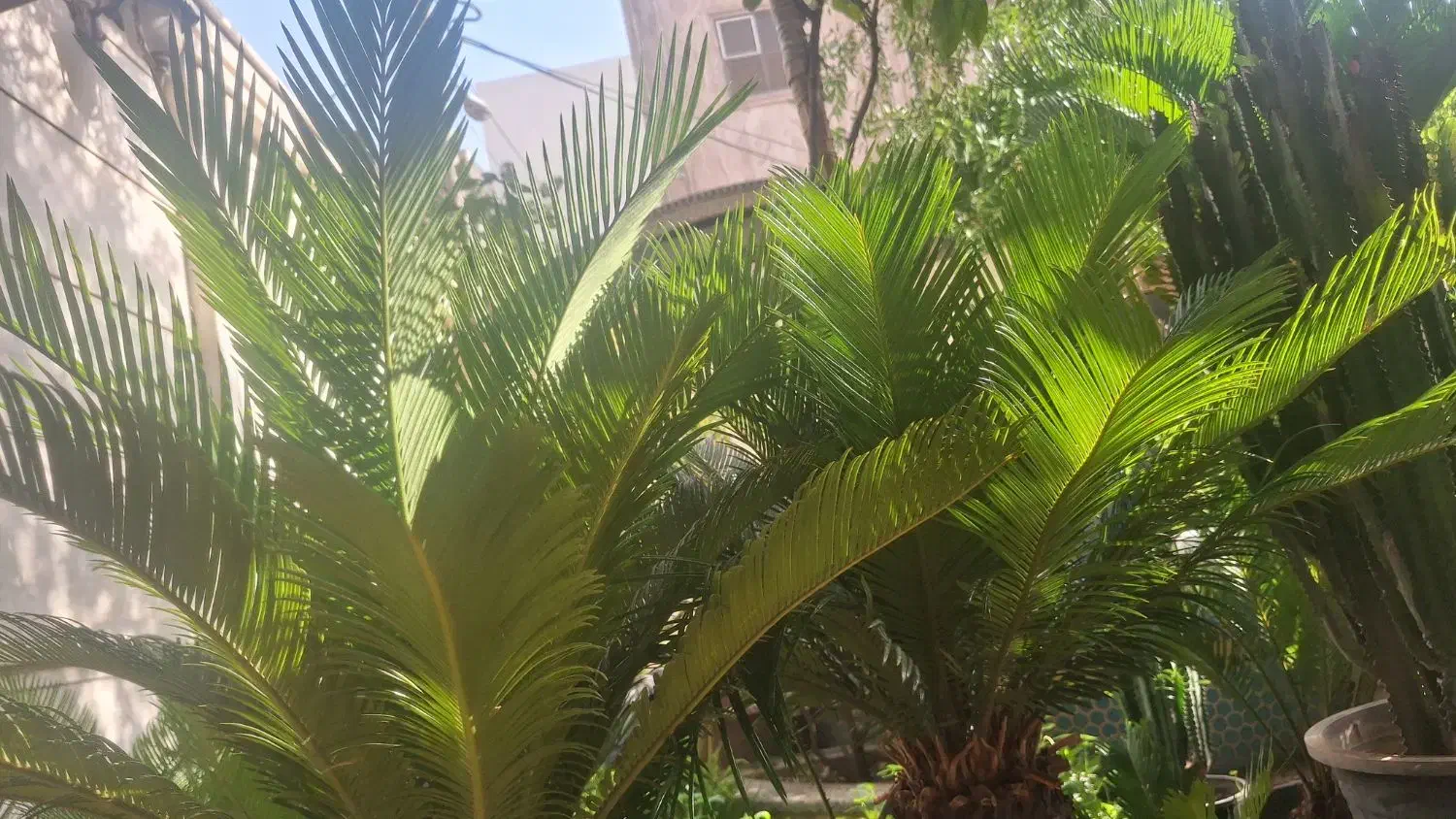 خریداران ملک نصف قیمت مناسب سرمایه گزاری|فروش مغازه و غرفه|کهک, |دیوار