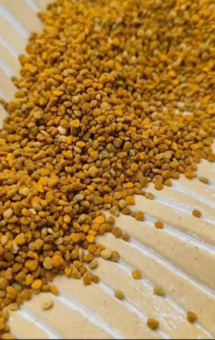 گرده گل کوهستان بمب انرژی|خوردنی و آشامیدنی|قم, چهار مردان|دیوار