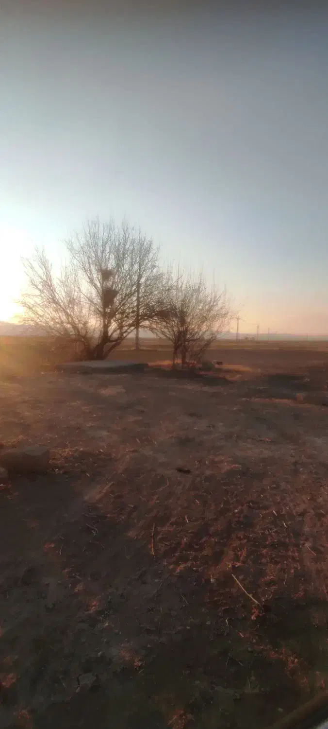 اجاره 36 جریب کشاورزی|اجارهٔ دفتر صنعتی، کشاورزی، تجاری|شهرکرد, |دیوار