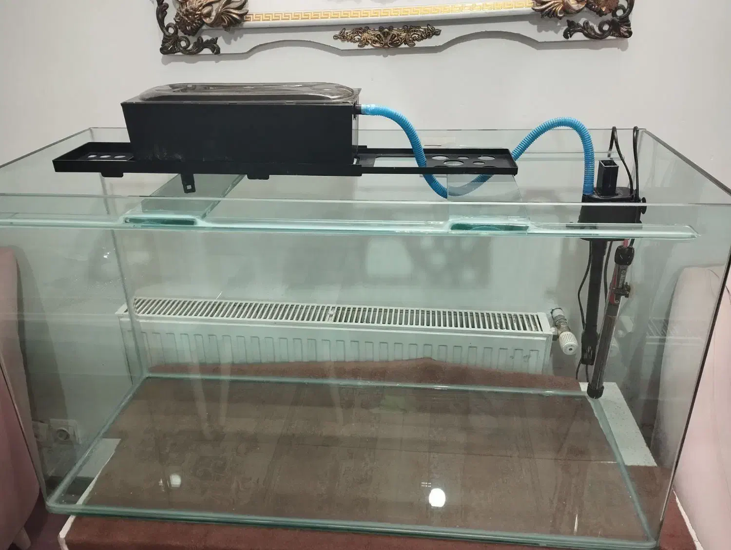 آکواریوم شیشه خم شرکتی|ماهی|خرمآباد, |دیوار