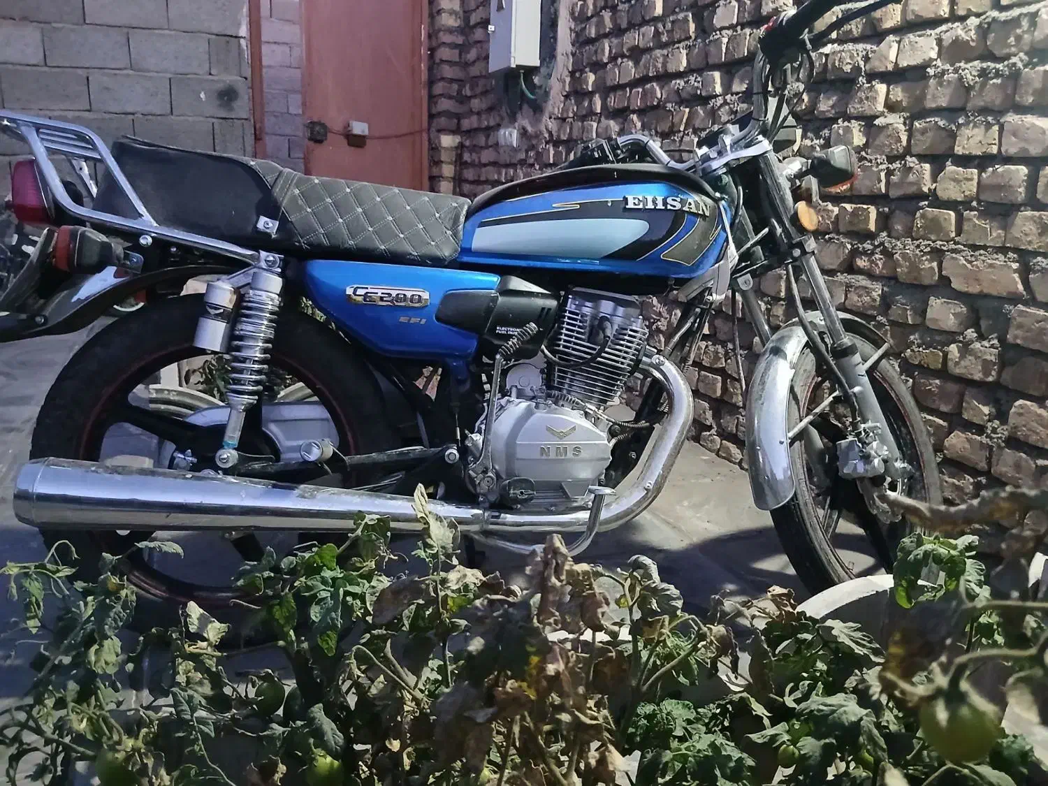 موتور سیکلت|موتورسیکلت|بجستان, |دیوار