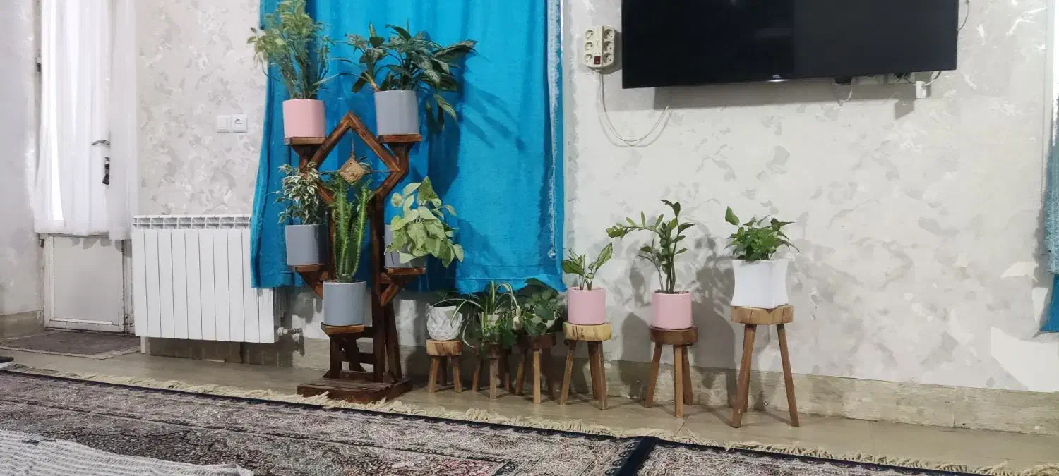 گل واستند گل|گل و گیاه طبیعی|زرند, |دیوار