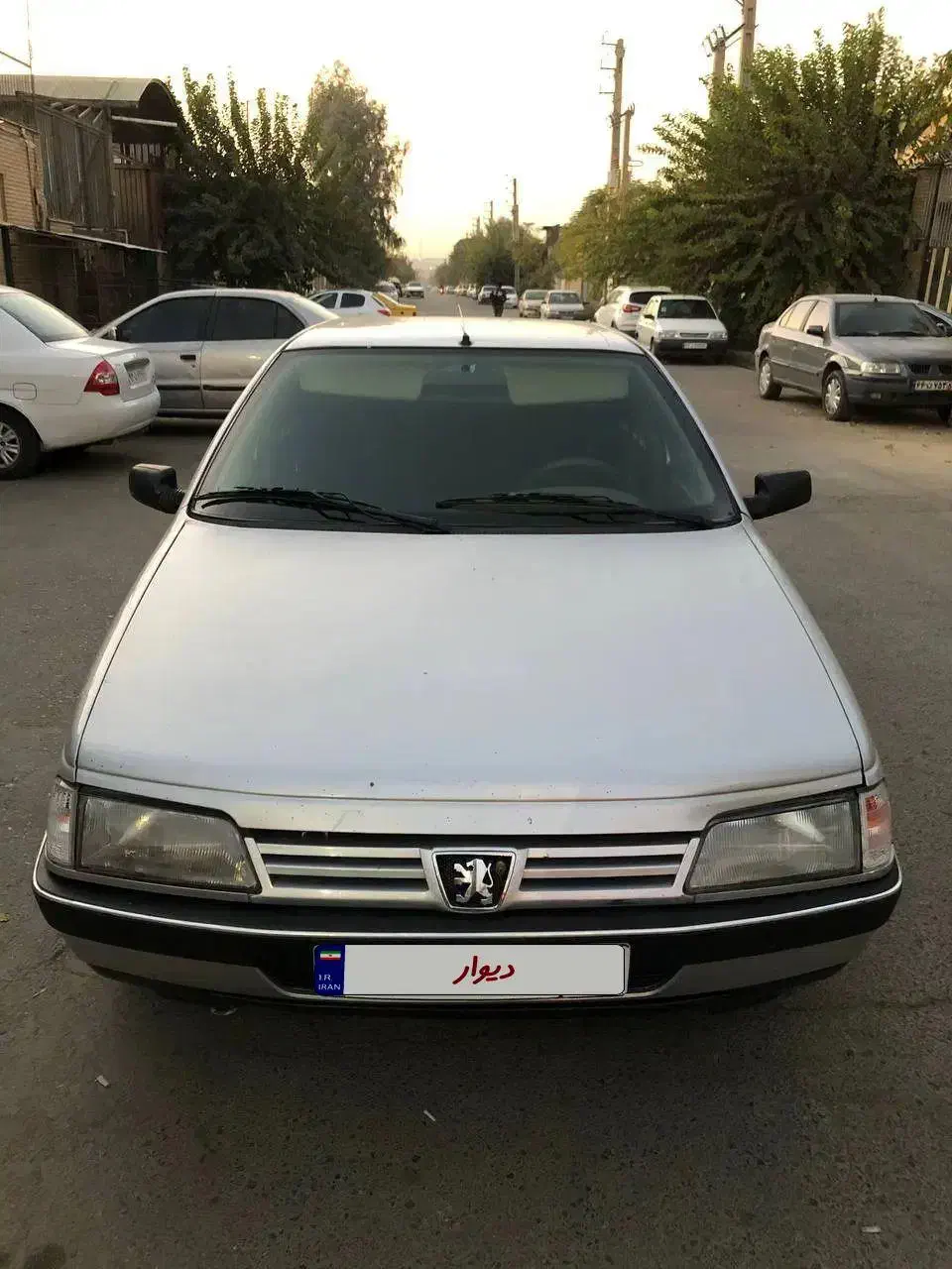 پژو ۴۰۵ مدل ۹۰|خودرو سواری و وانت|ری, دولتآباد|دیوار