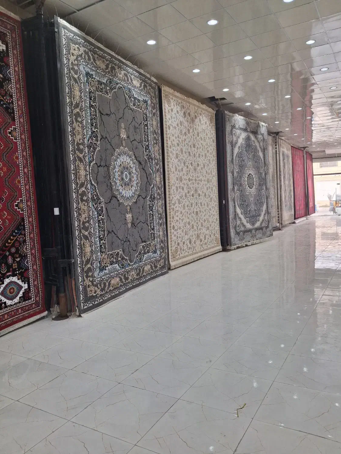 ۵۰۰تخته فرش(به مدت یک هفته)حراج|فرش|بوشهر, |دیوار