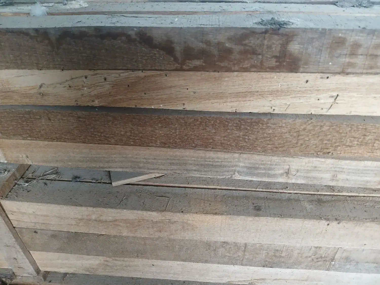 تخته چوب بلوط|عمدهفروشی|طاهرگوراب, |دیوار