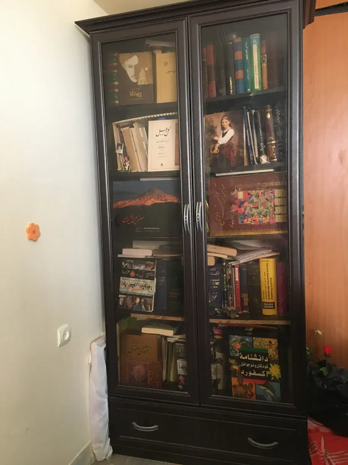 کتابخانه|کتابخانه، شلف، قفسههای دیواری|صدرا-فارس, فاز ۱|دیوار