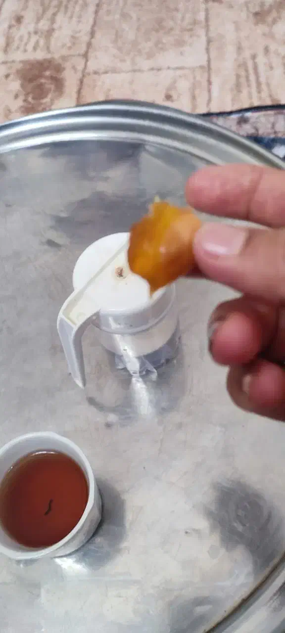 نخل|گل و گیاه طبیعی|شوش, |دیوار