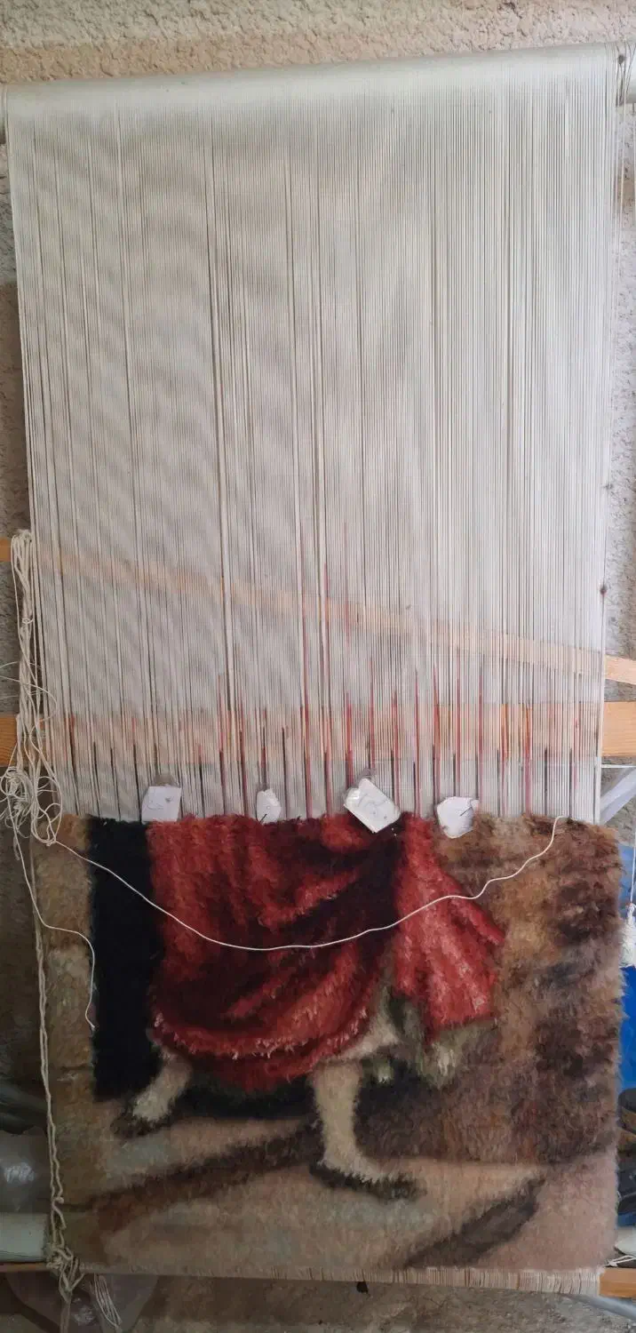 تابلو فرش به همراه دار قالی|تابلو فرش|محمدیه-قزوین, |دیوار