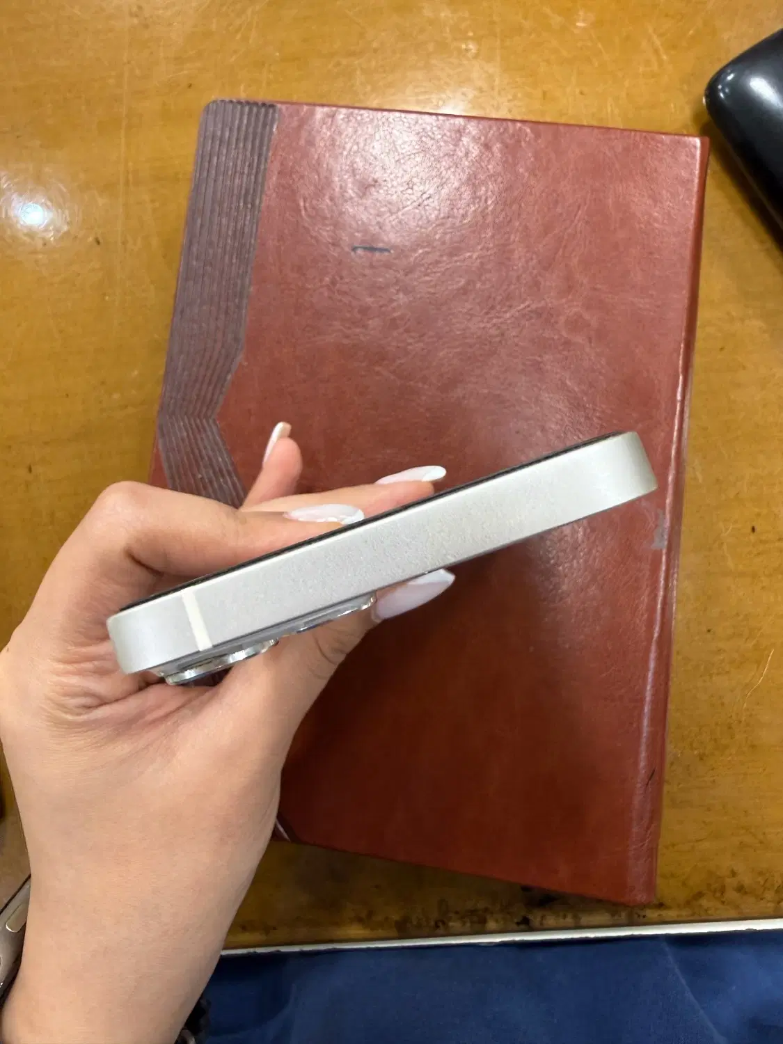 iphone13|موبایل|رشت, کاکتوس|دیوار
