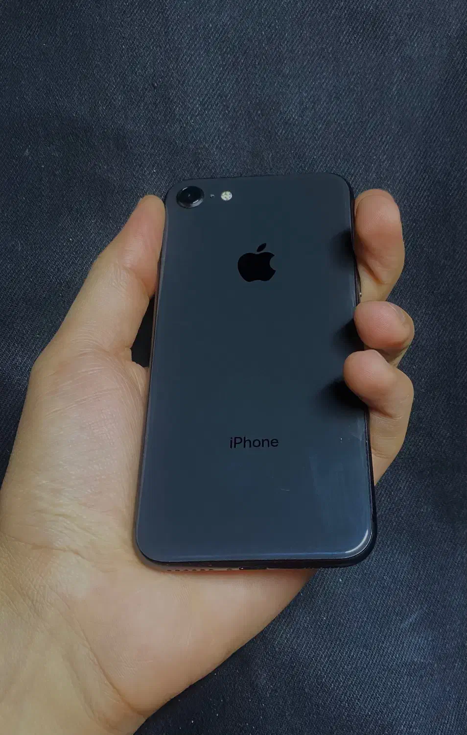 iPhone 8|موبایل|بیرجند, |دیوار