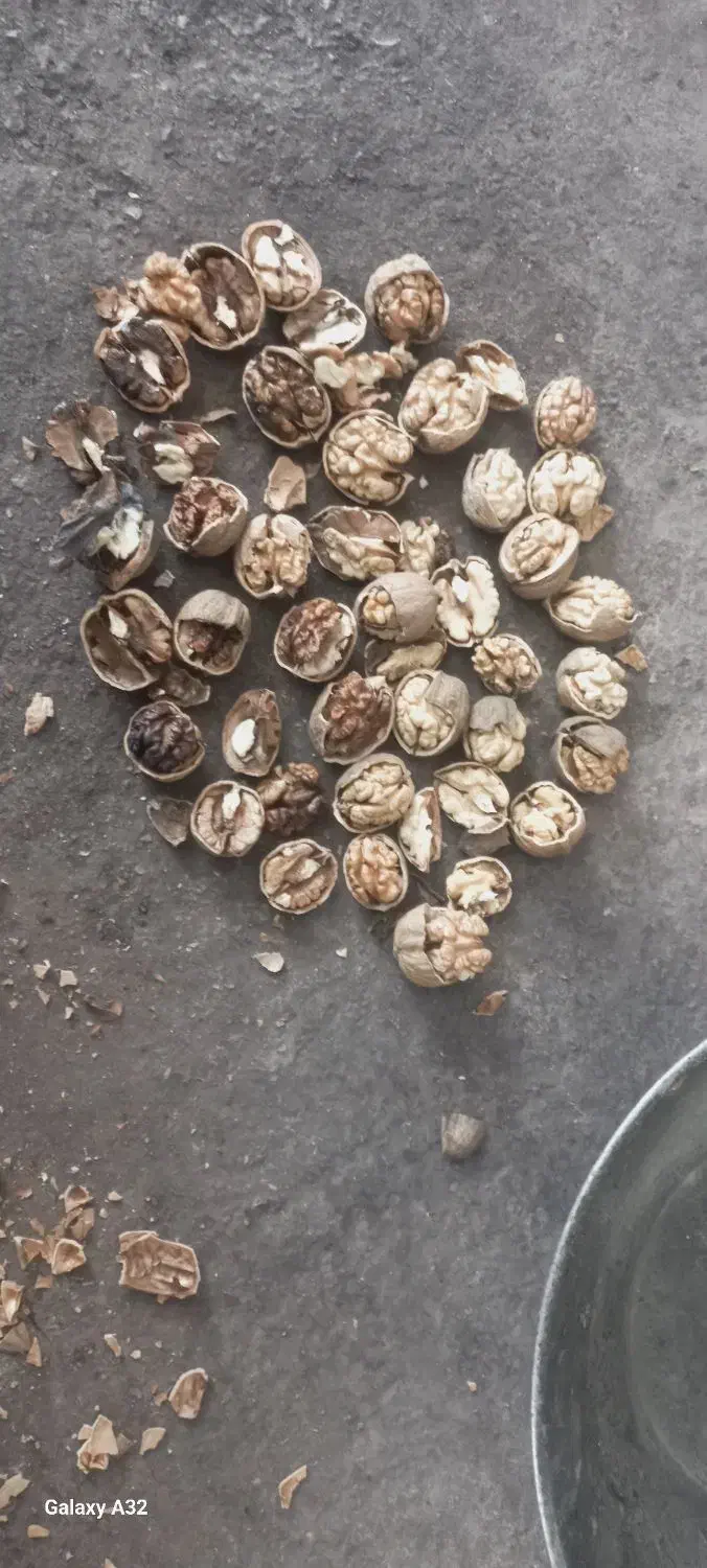 گردو|خوردنی و آشامیدنی|تویسرکان, |دیوار