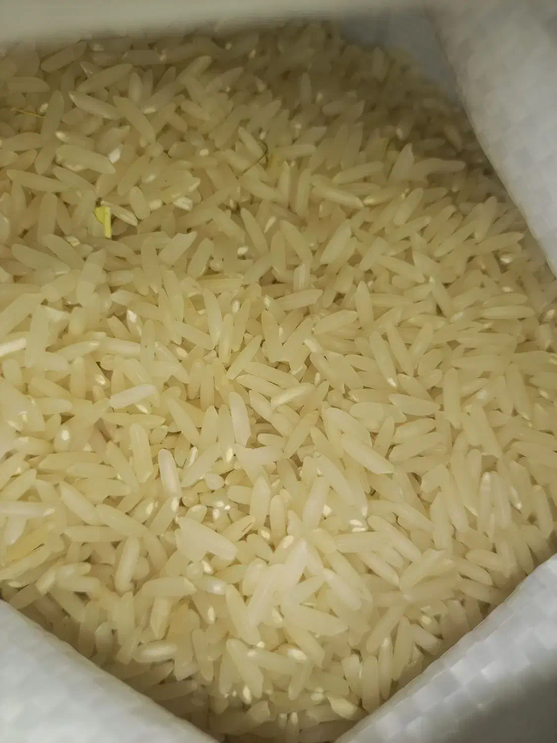 فروش برنج طارم هاشمی دو نوج|خوردنی و آشامیدنی|نکا, |دیوار