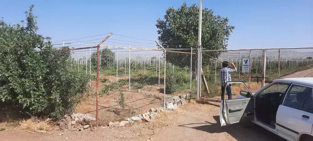 زمین کشاورزی|اجارهٔ دفتر صنعتی، کشاورزی، تجاری|ابهر, |دیوار