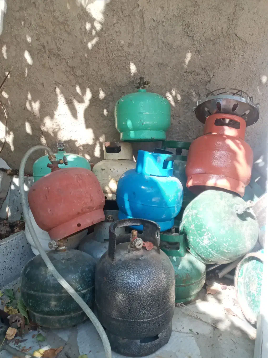 پیک نیک|اجاق گاز و لوازم برقی پخت‌وپز|قروه, |دیوار