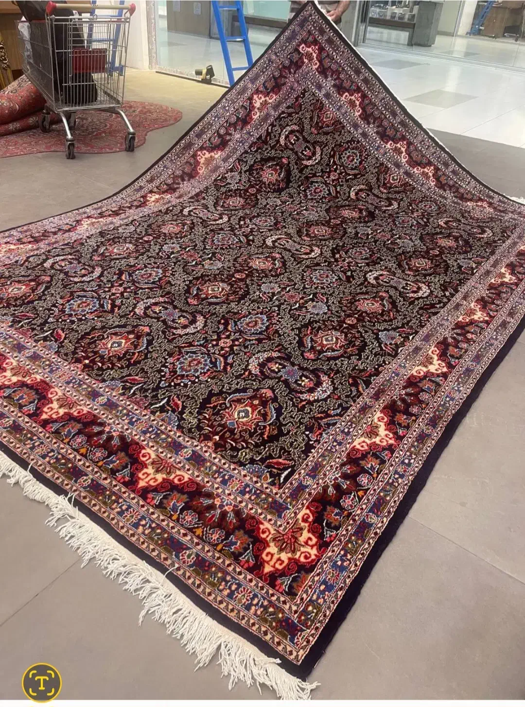 فرش دستباف (بساک) تک ۹ متری نقشه  جدید مدرن|فرش|مشکین‌دشت, |دیوار