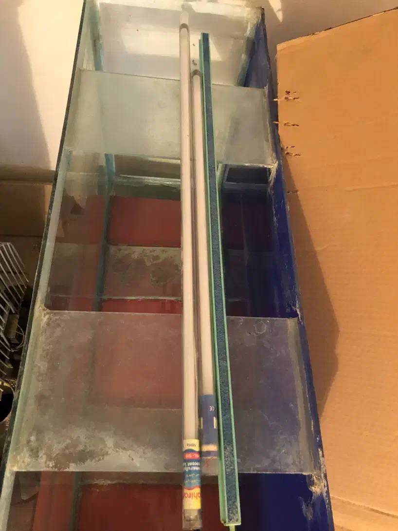 اکواریوم به همراه وسایل|ماهی|محمدشهر, ولدآباد|دیوار