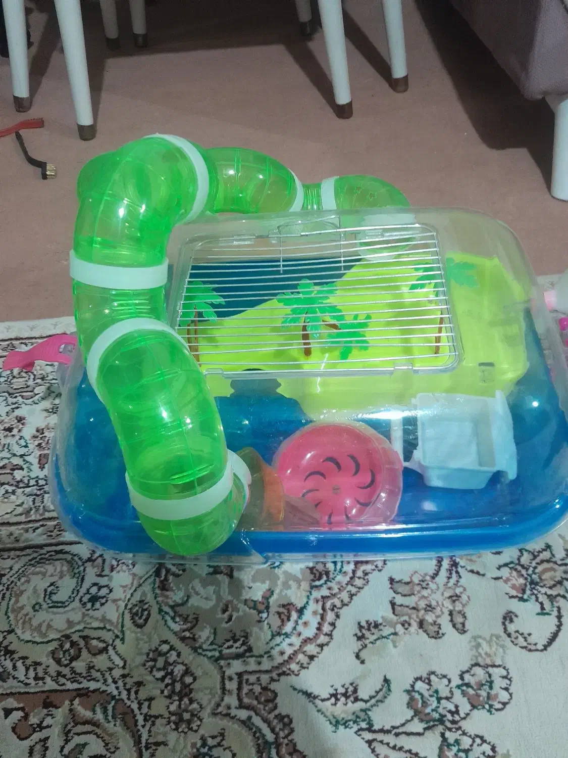 قفس جزیره همستر|موش و خرگوش|تبریز, |دیوار