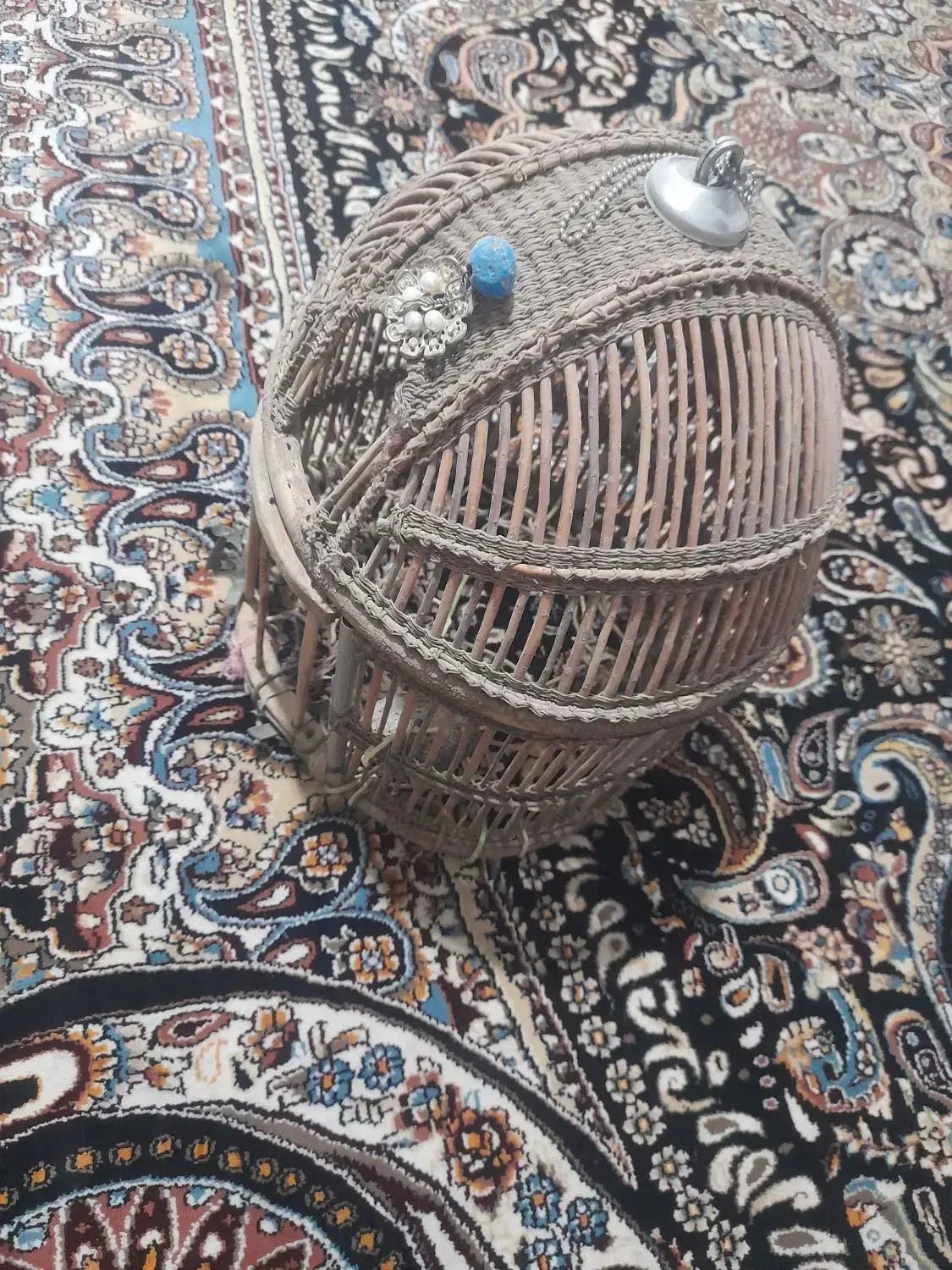 قفس کبک|لوازم جانبی حیوانات|تربتحیدریه, حاجی یار|دیوار