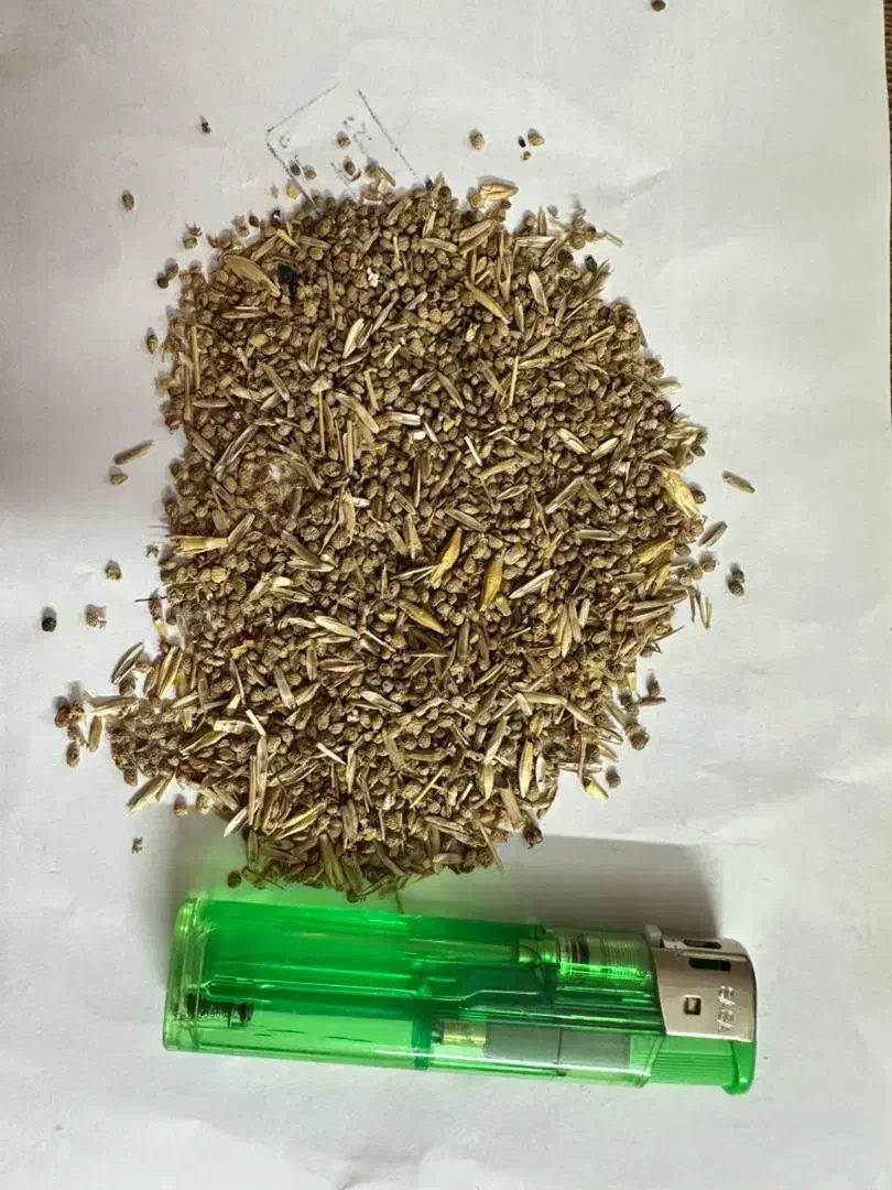 خوراک دام و حیوانات|لوازم جانبی حیوانات|سیجوال, |دیوار