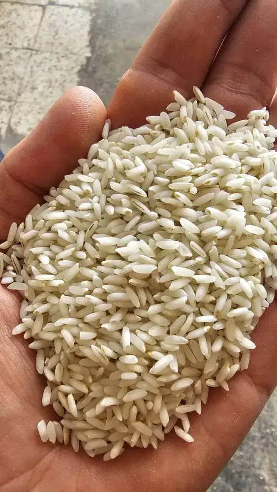 برنج عنبربو شوشتر|خوردنی و آشامیدنی|تهران, مولوی|دیوار