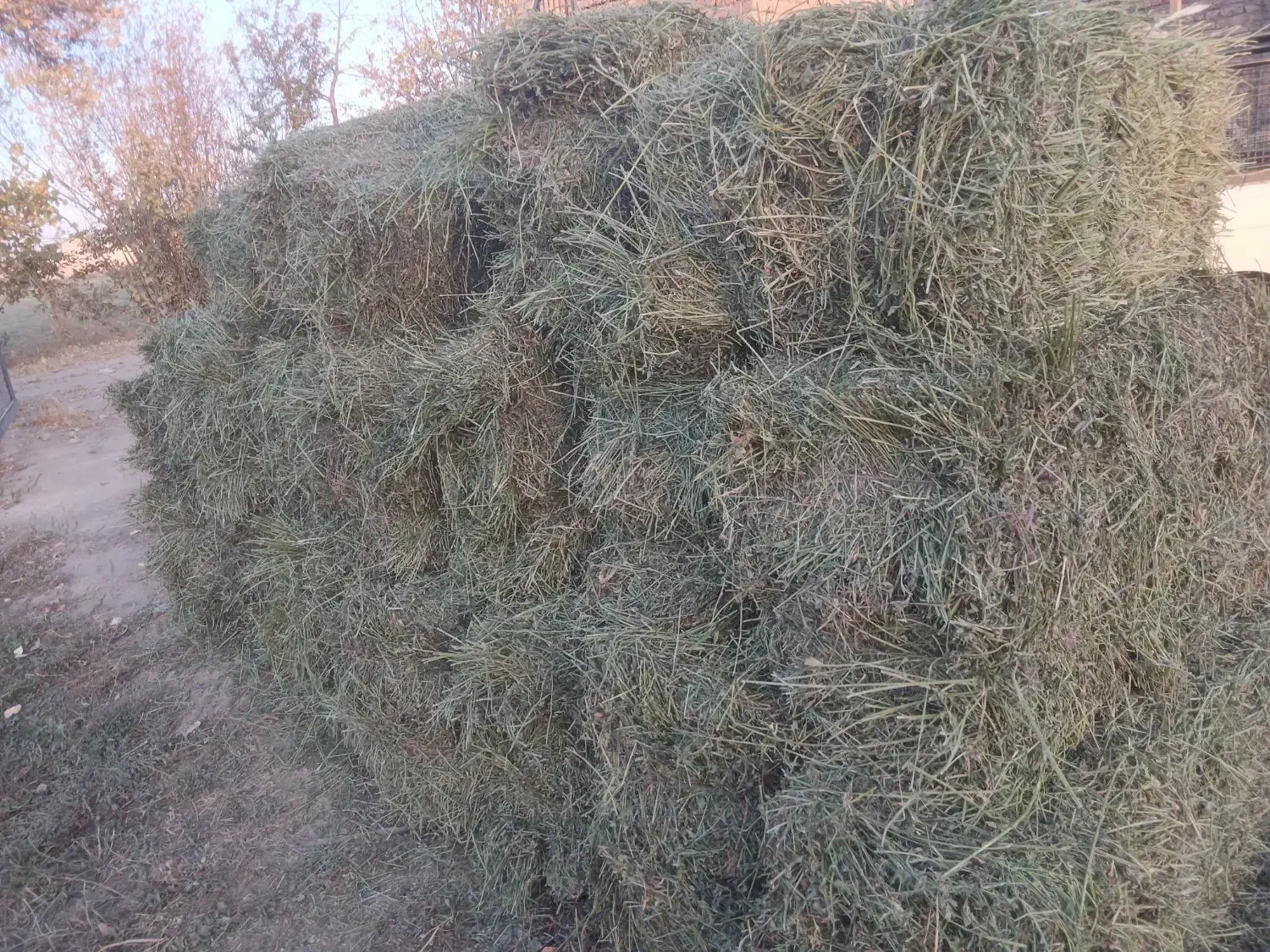 پرس یونجه|عمده‌فروشی|گلپایگان, |دیوار