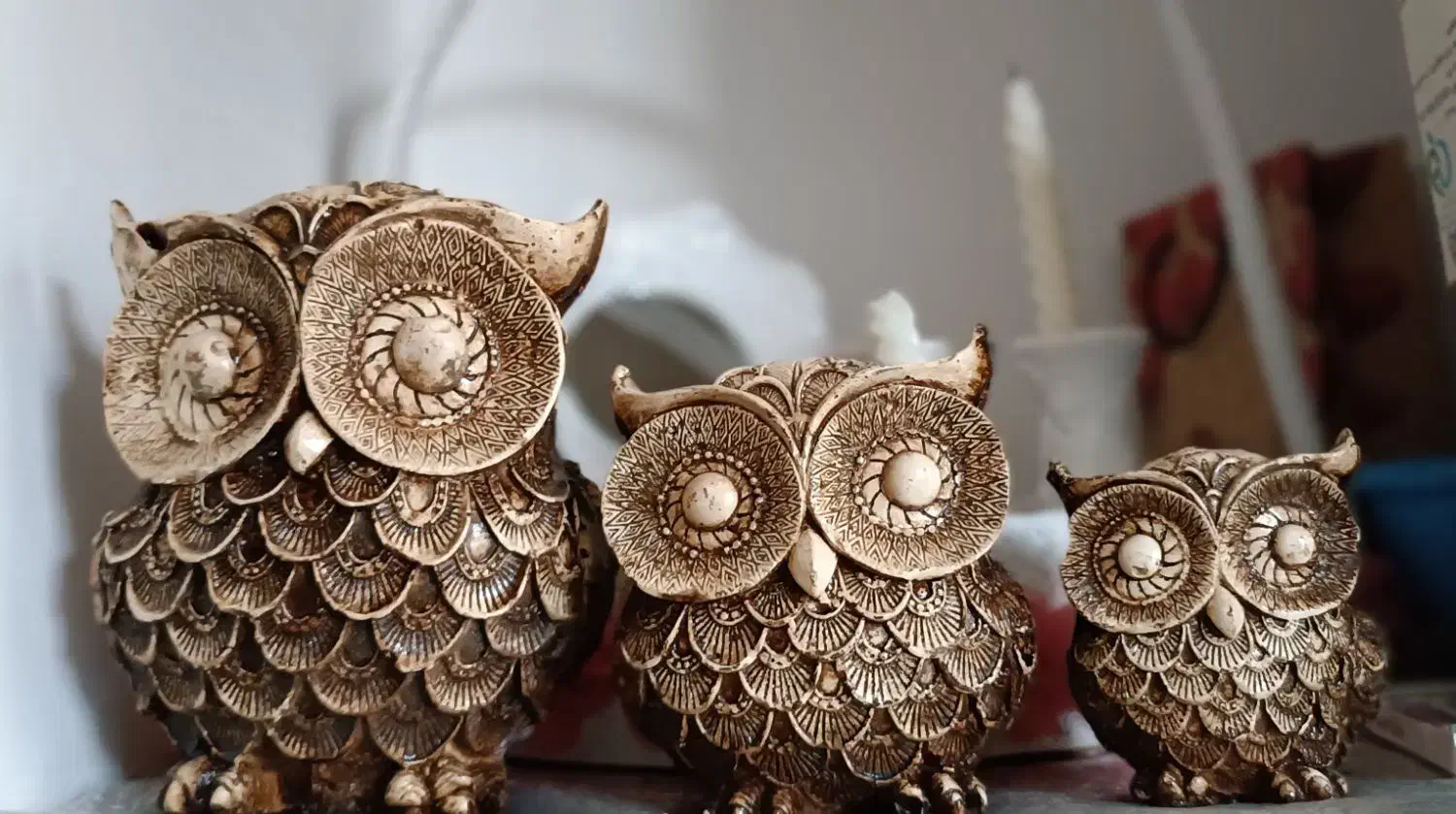 مجسمه دکوراتیو جغد|مجسمه، تندیس، ماکت|طبس, |دیوار