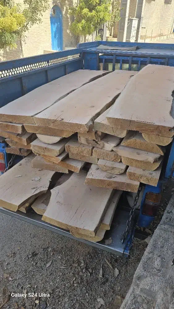 خرید انواع چوب درختان باغی و جنگلی|خدمات باغبانی و درختکاری|صفادشت, |دیوار