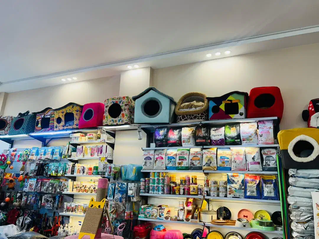 قلاده لباس هودی کاپشن کتفی گردنی زنجیر بند لید|لوازم جانبی حیوانات|مشهد, گلبرگ|دیوار