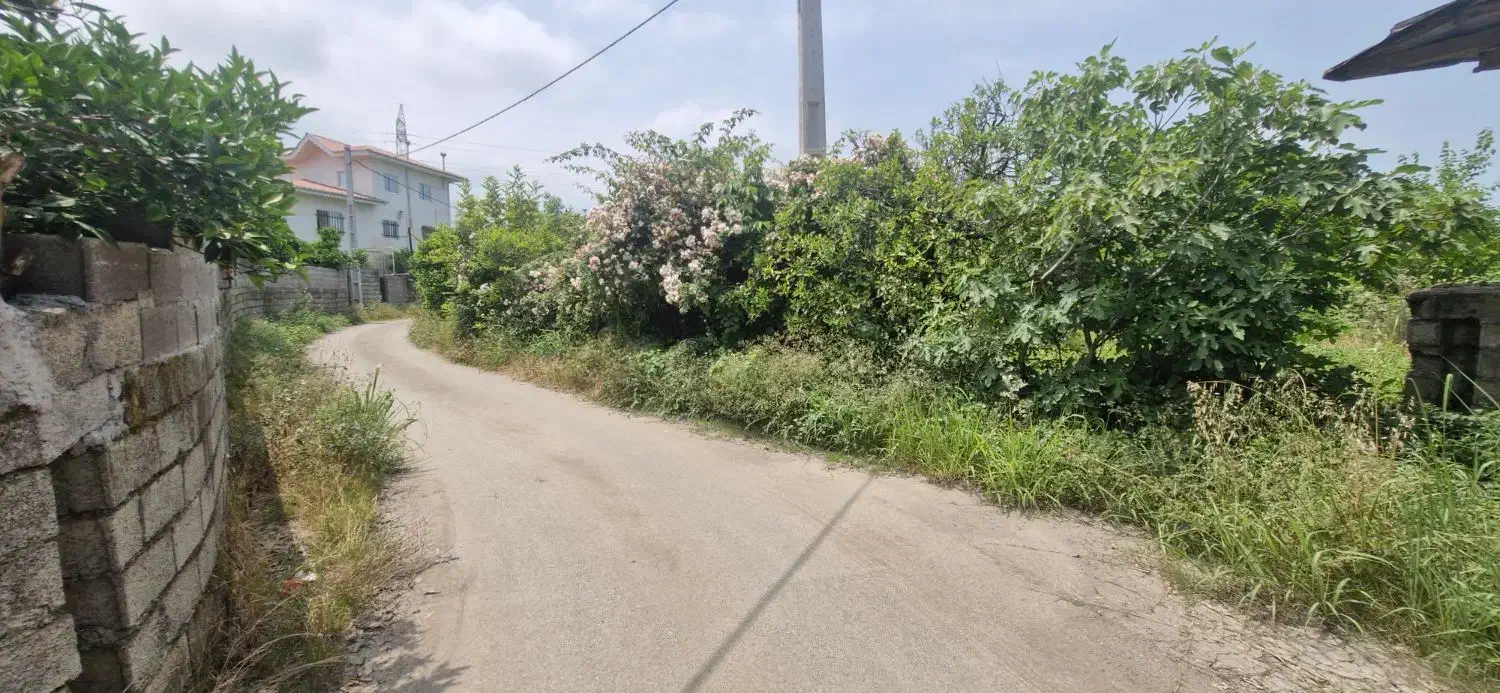 زمین مسکونی ۱۵۰۰متری در سیاهکلرود|فروش زمین و ملک کلنگی|چابکسر, |دیوار