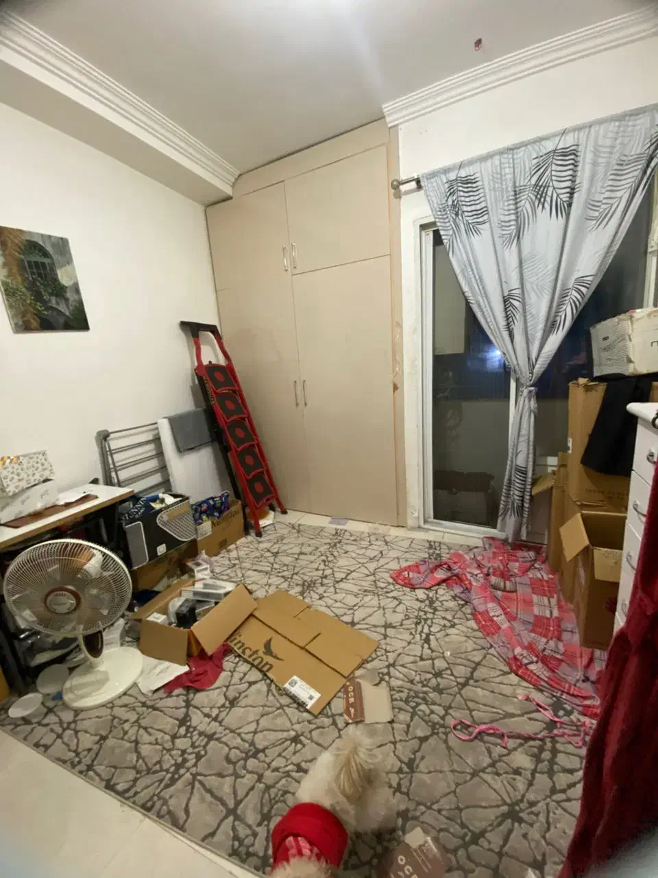 اجاره یک واحد اپارتمان|اجارهٔ آپارتمان|لشت نشا, |دیوار