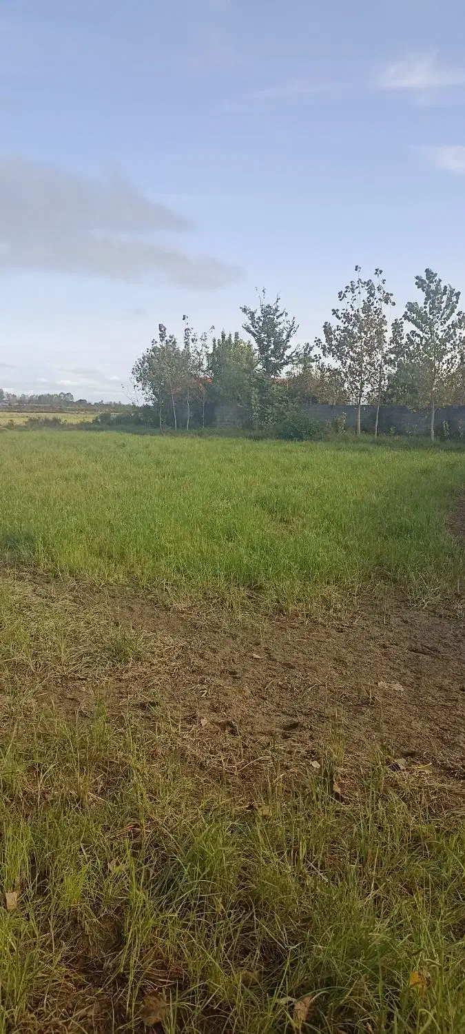 متراژ ۴۰۰ متر قیمت هر متر ۳۰۰۰مسکونی|فروش زمین و ملک کلنگی|تولم شهر, |دیوار