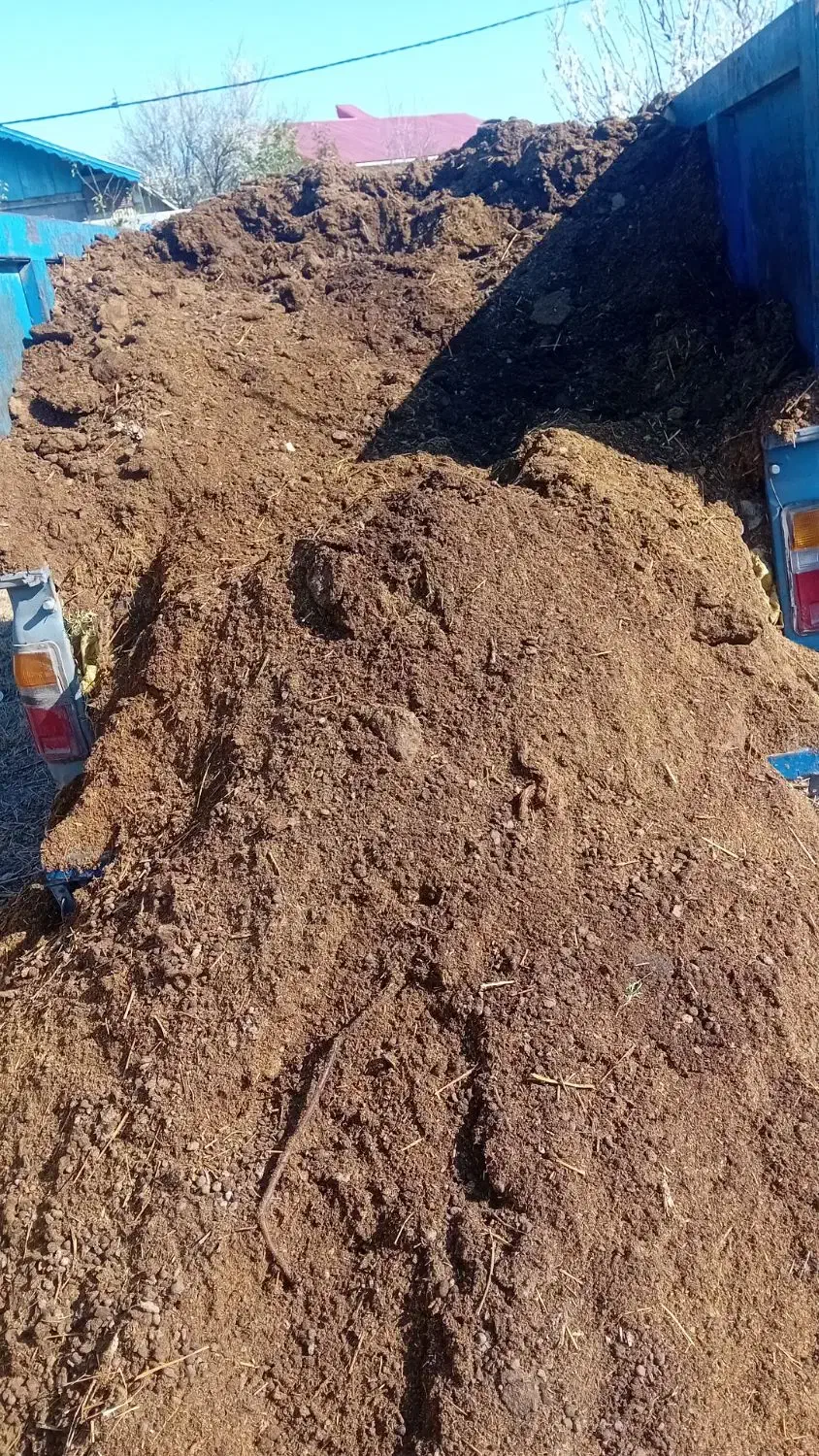 کود دامی|خدمات باغبانی و درختکاری|رشت, پارک شهر|دیوار