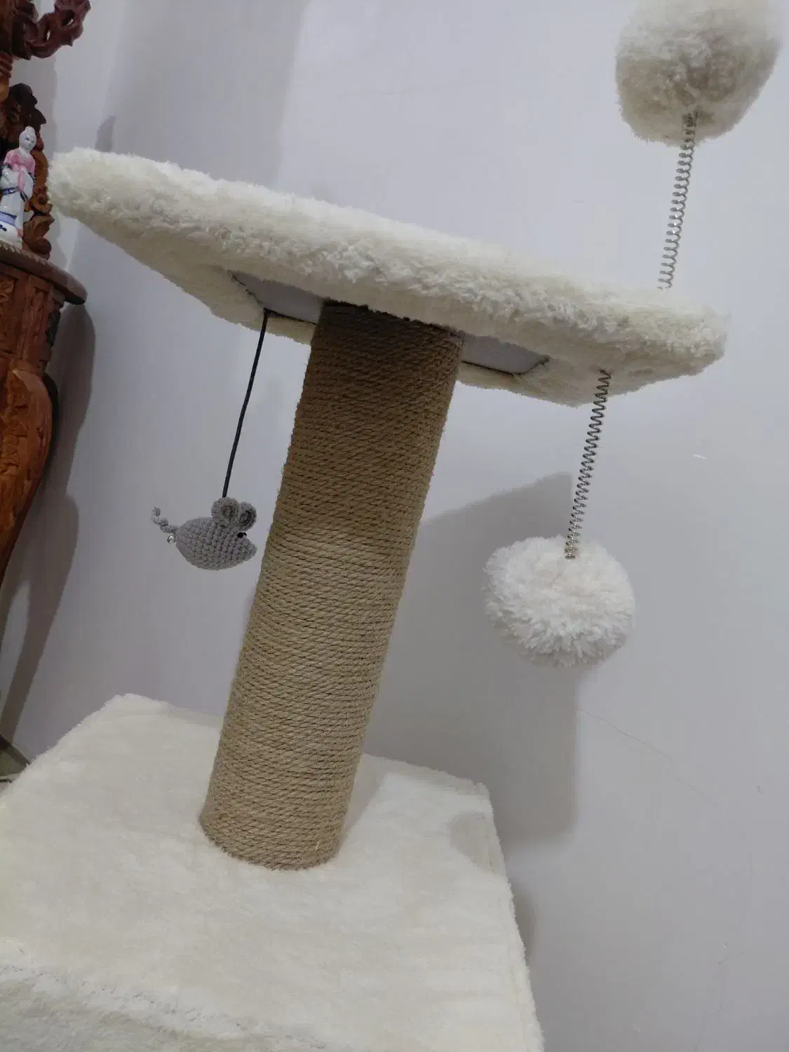 لانه گربه وساک حمل|لوازم جانبی حیوانات|زنجان, |دیوار